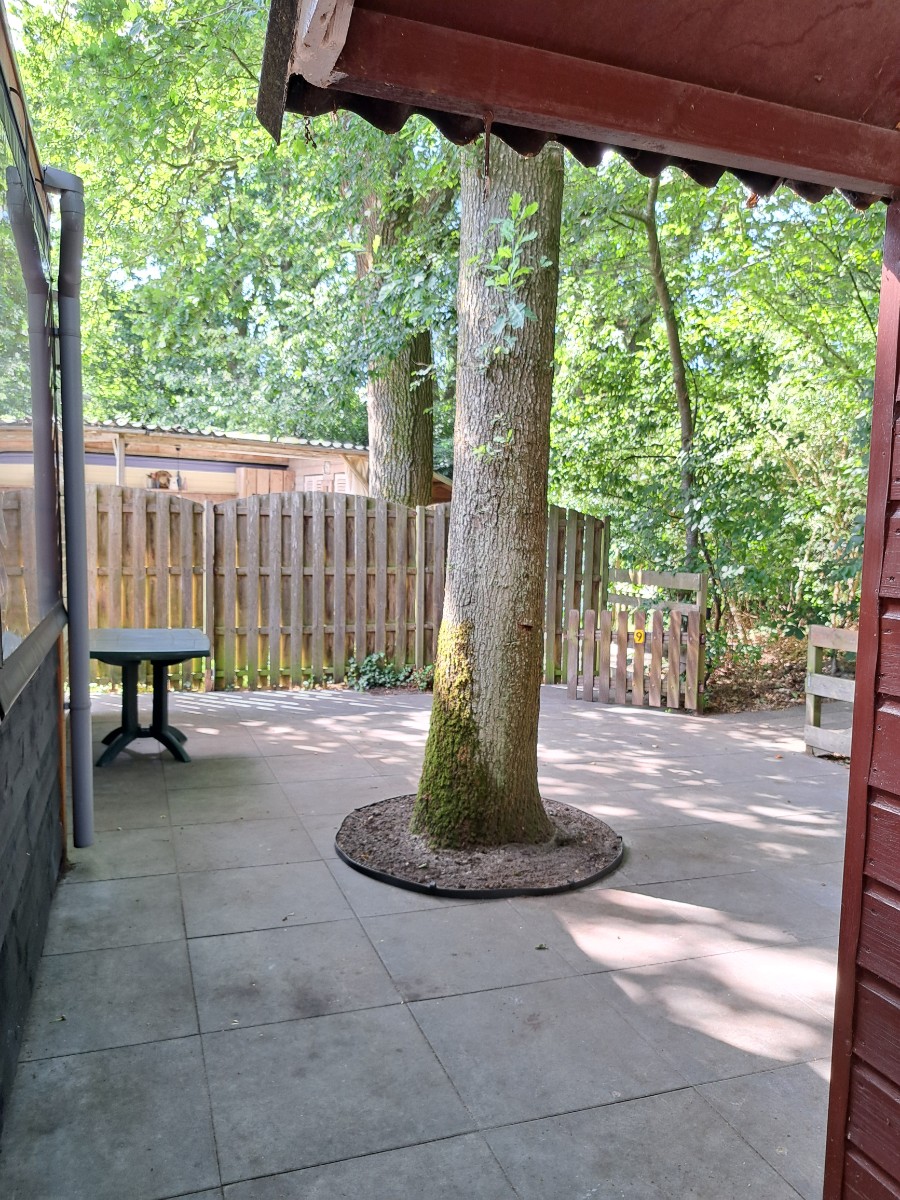 Accommodatie afbeelding